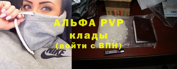 гидра Михайловка