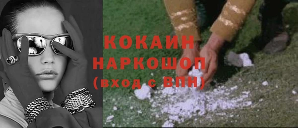 гидра Михайловка