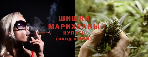 гидра Михайловка