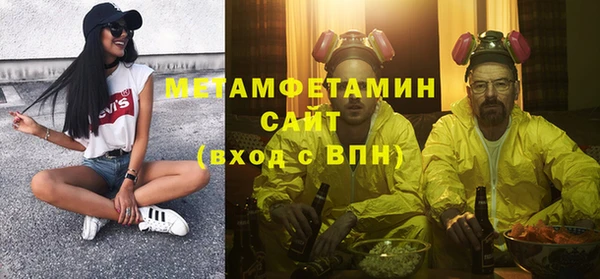 гидра Михайловка