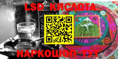 дурь Берёзовский