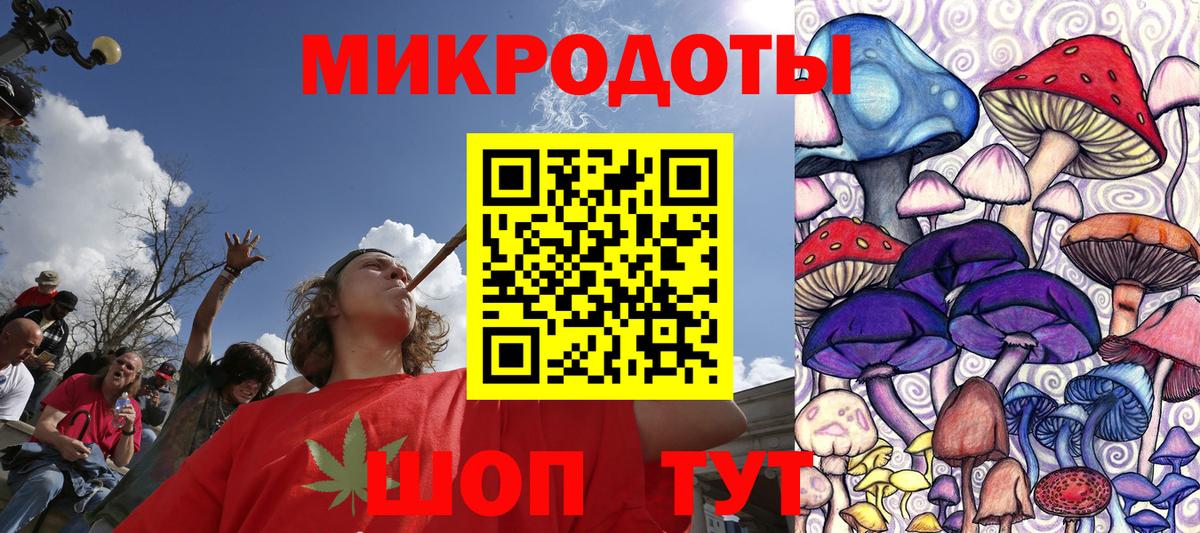 Псилоцибиновые грибы мицелий Камень-на-Оби