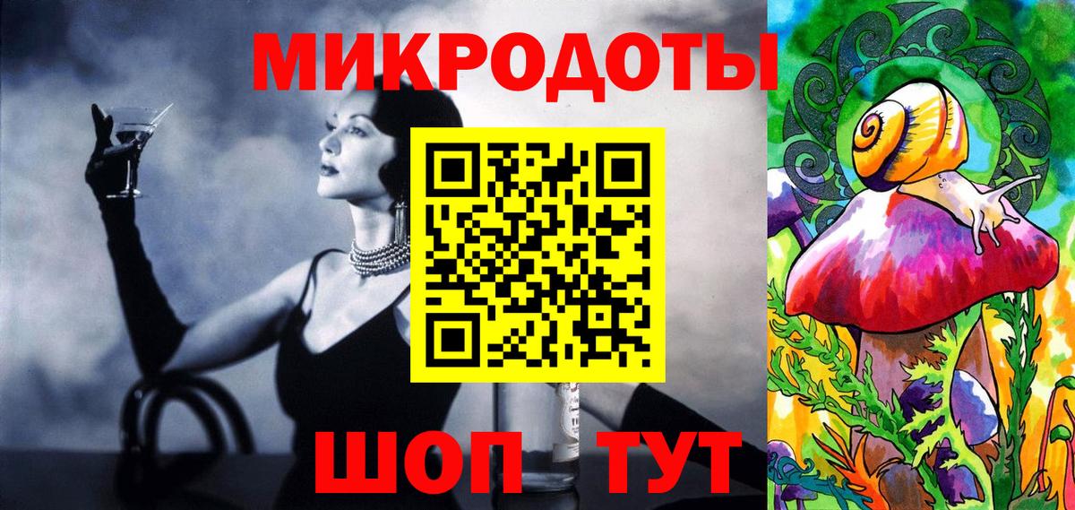 Псилоцибиновые грибы Psilocybine cubensis  Вход с VPN  Камень-на-Оби 
