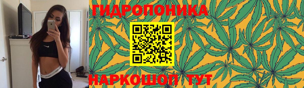 Каннабис планчик  Бошки марихуана план  Вход с VPN  Камень-на-Оби 