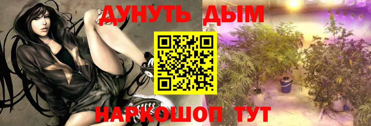 Каннабис SATIVA & INDICA  МАРИХУАНА индика  Камень-на-Оби  Шишки марихуана MAZAR 